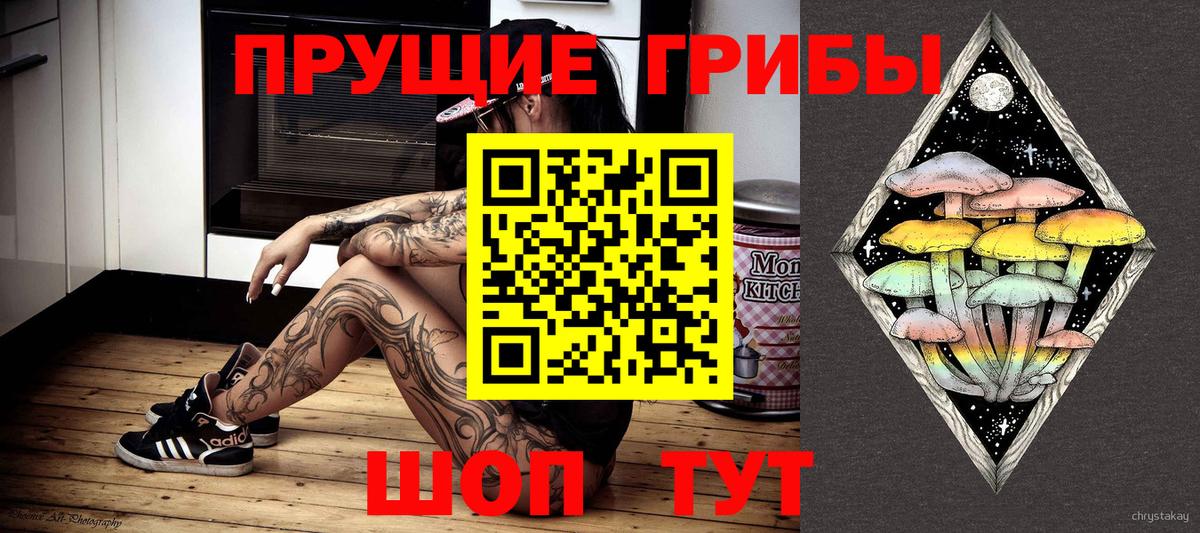 Галлюциногенные грибы Psilocybe Луховицы