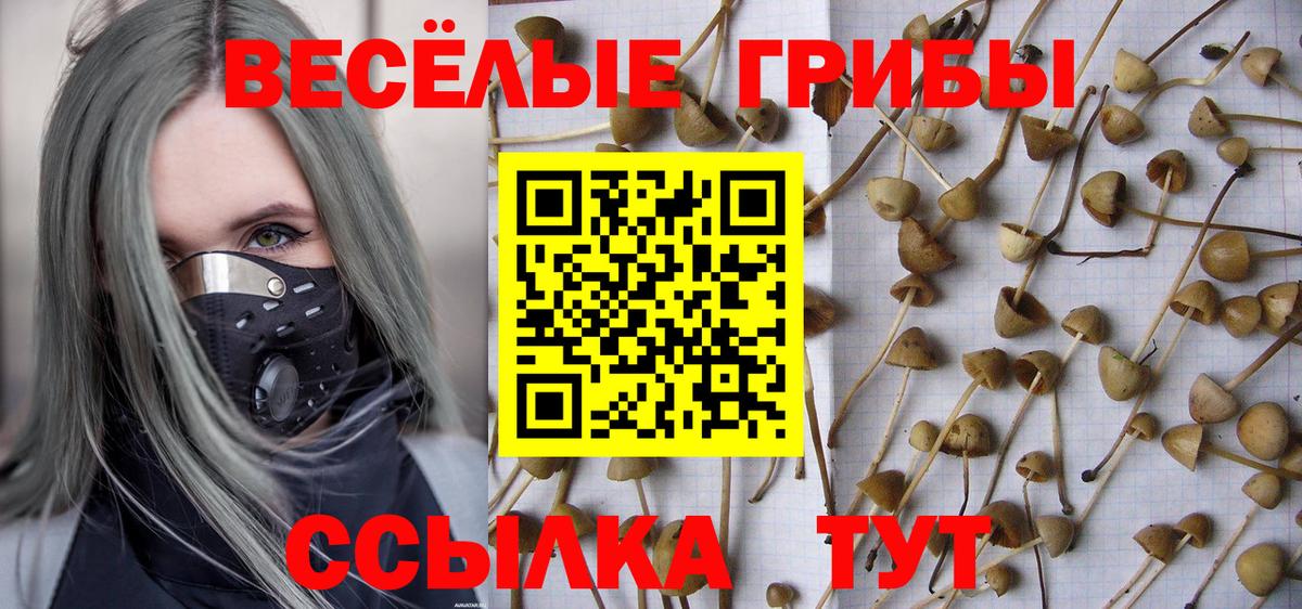 Луховицы  Галлюциногенные грибы Cubensis  Вход с VPN  Галлюциногенные грибы мухоморы 